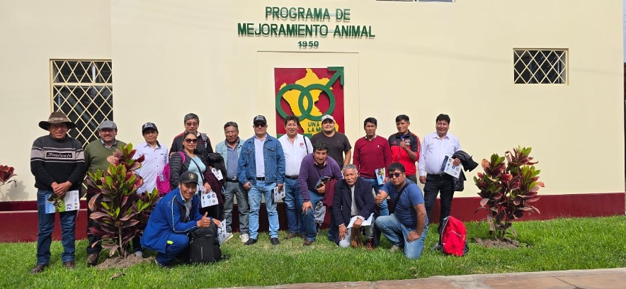 PMA fortalece las capacidades competitivas de la cadena productiva de alpacas de la región del Cusco