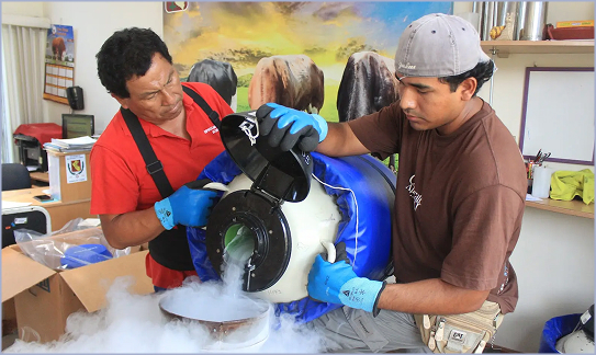 Servicio de Genotipo, Medio Ambiente y Bienestar Animal (GENMA)
