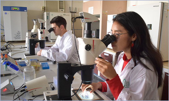Centro de Investigación en Tecnología de Embriones (CIETE)